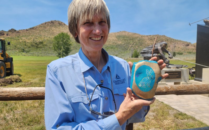 Artist from Big Sur takes special care of Snake Rock