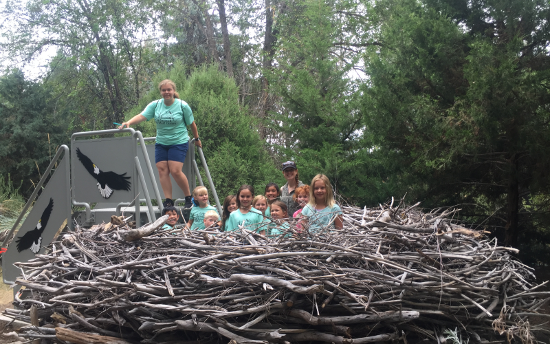 Greybeards Build Bald Eagle Nest that People can Inhabit